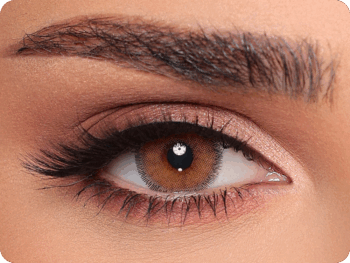 Luminous Latin Brown