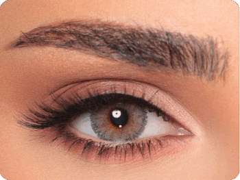 Luminous Latin Gray