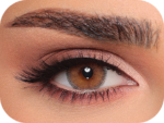 latin-brown-02-1