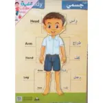 بازل كبير لجسم الانسان