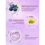 برايمر مرطب-Blueberry+Aha-Blueberry+Aha (2)