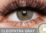 كليوباترا جراي Sheglam.Lenses-Cleopatra Gray
