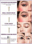 SHEGLAM مجموعة فرش مكياج احترافية مكونة من 8 قطع،ي