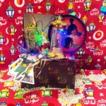 box web 500 1